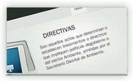 Inicio